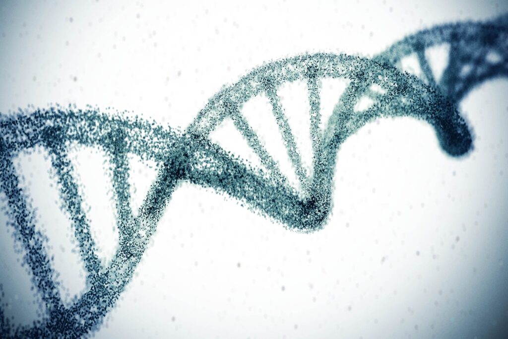 DNA pode explicar por que algumas pessoas vivem mais