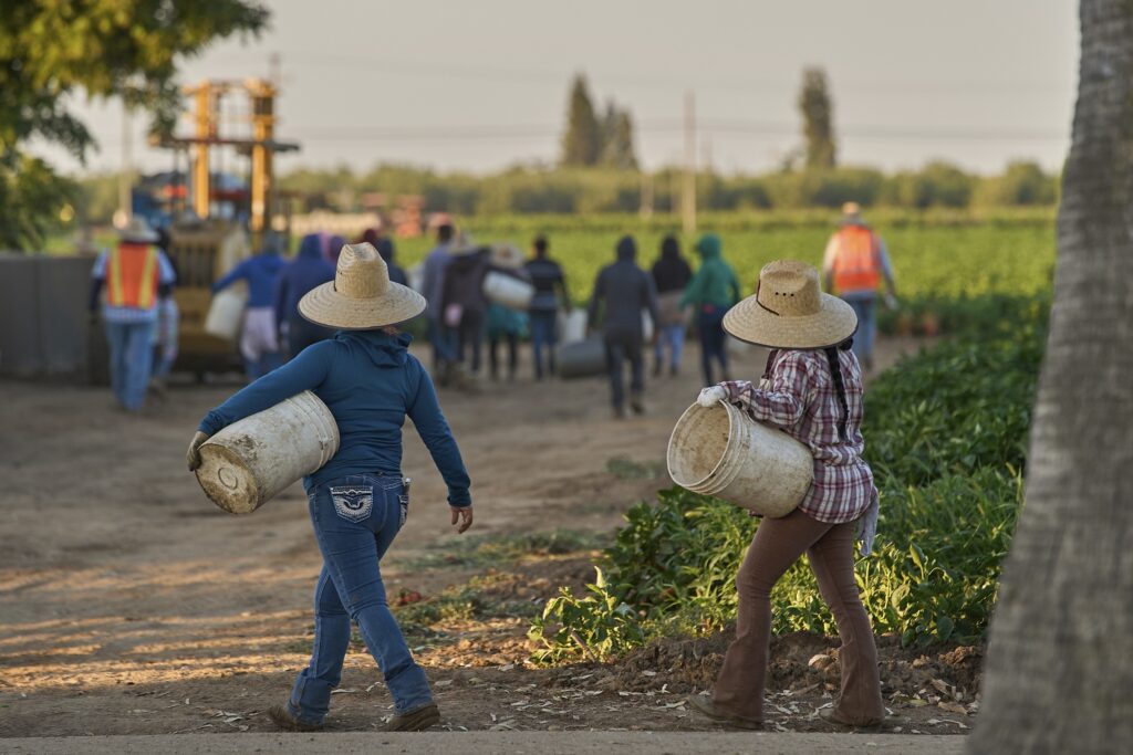 Consequências da migração líquida zero em Reino Unido e EUA