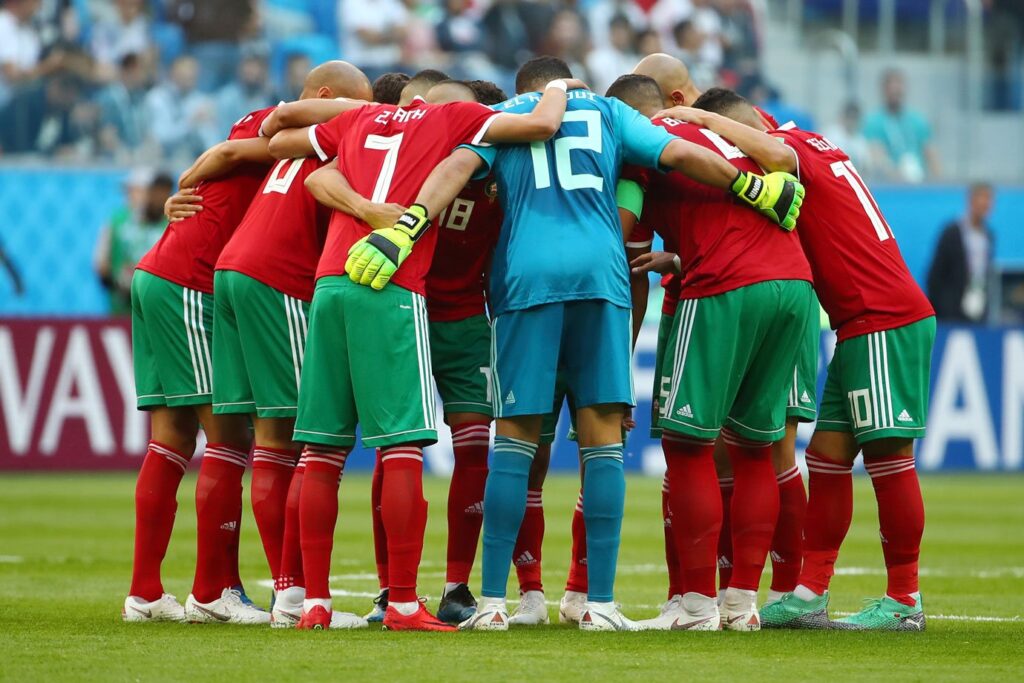Marrocos planeja abater 3 milhões de cães para Copa 2030