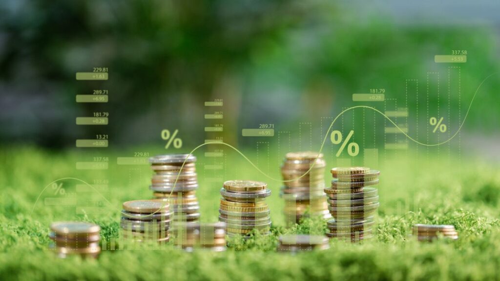 B3 e Motiva são favoritas para investir com sustentabilidade