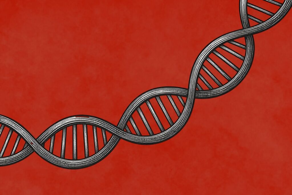 HIV alterou gene humano em tempo recorde, aponta estudo