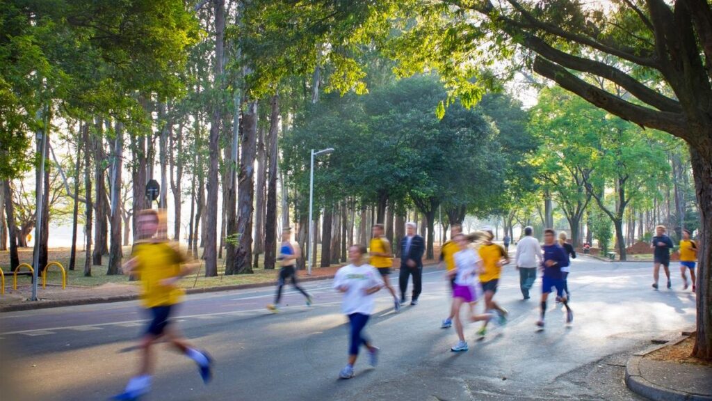 Maratona Internacional de São Paulo 2026: valores e datas