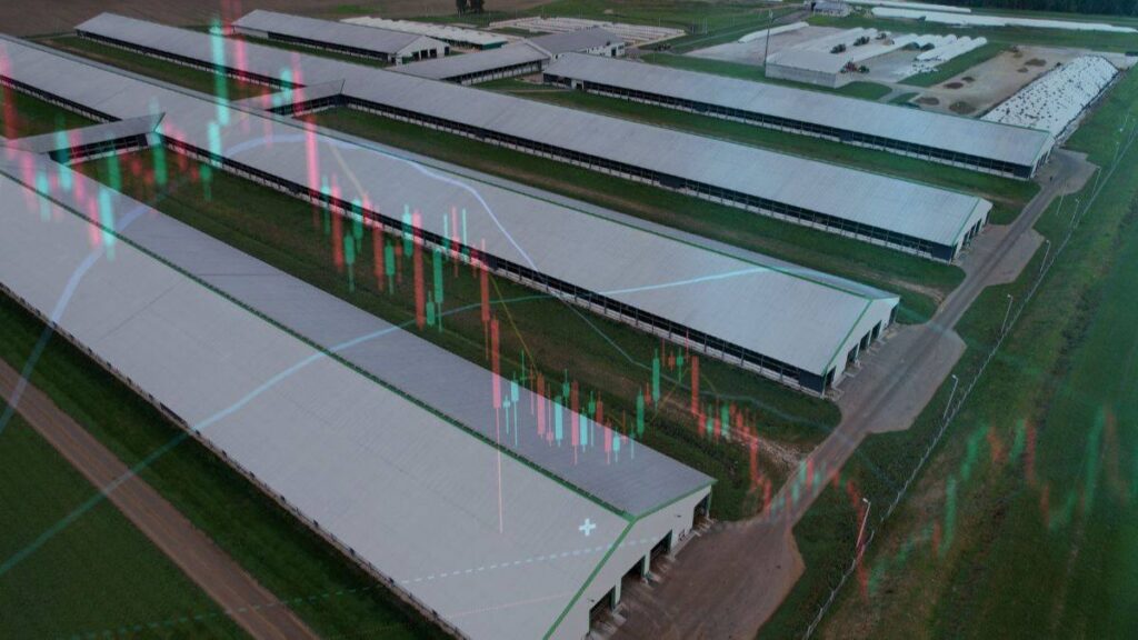 HGLG11: Patria Log compra fatia remanescente de galpões logísticos