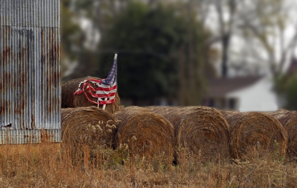 Custo de produção de grãos nos EUA atinge recordes em 2027, aponta USDA