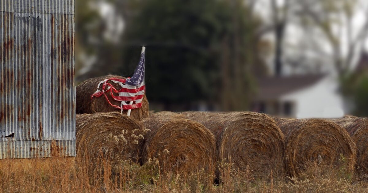 Custo de produção de grãos nos EUA atinge recordes em 2027, aponta USDA