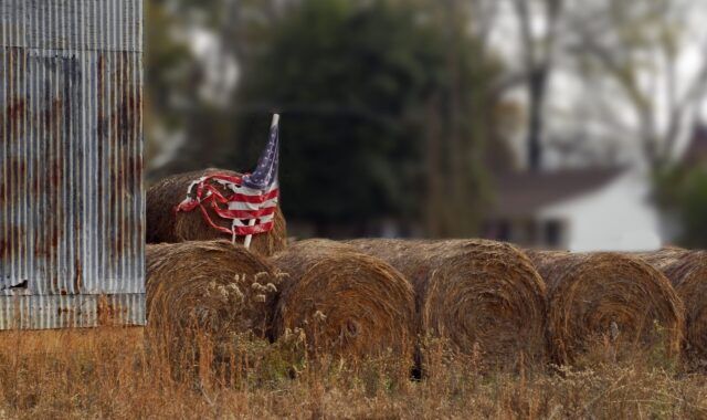 Custo de produção de grãos nos EUA atinge recordes em 2027, aponta USDA