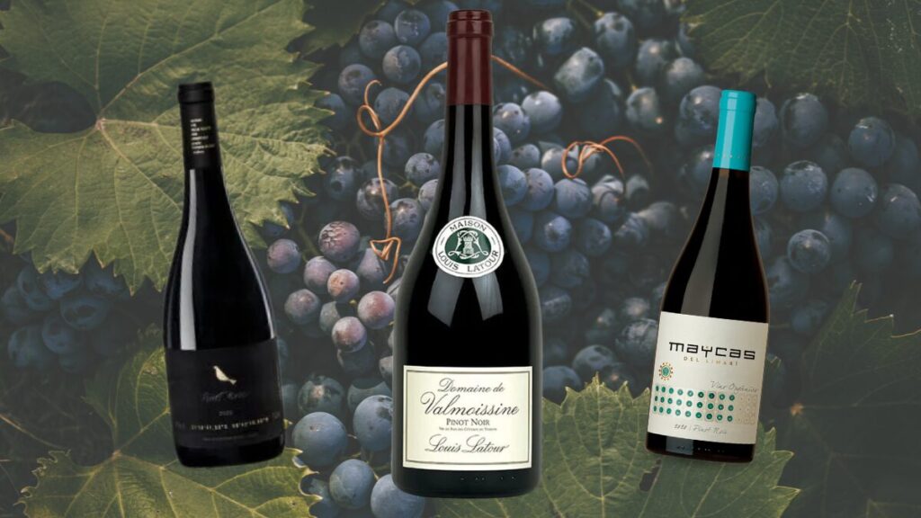 Pinot Noir: 13 rótulos da estrela temperamental do vinho
