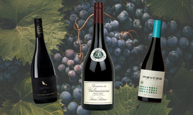 Pinot Noir: 13 rótulos da estrela temperamental do vinho