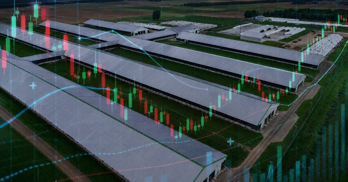 TRXF11 anuncia emissão de até R$ 10 bi, a maior do setor