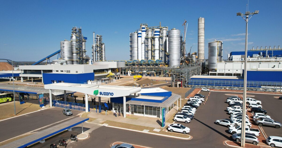 Relatório TNFD Suzano identifica 388 mil hectares sensíveis