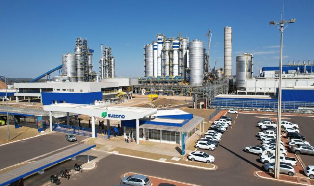 Relatório TNFD Suzano identifica 388 mil hectares sensíveis