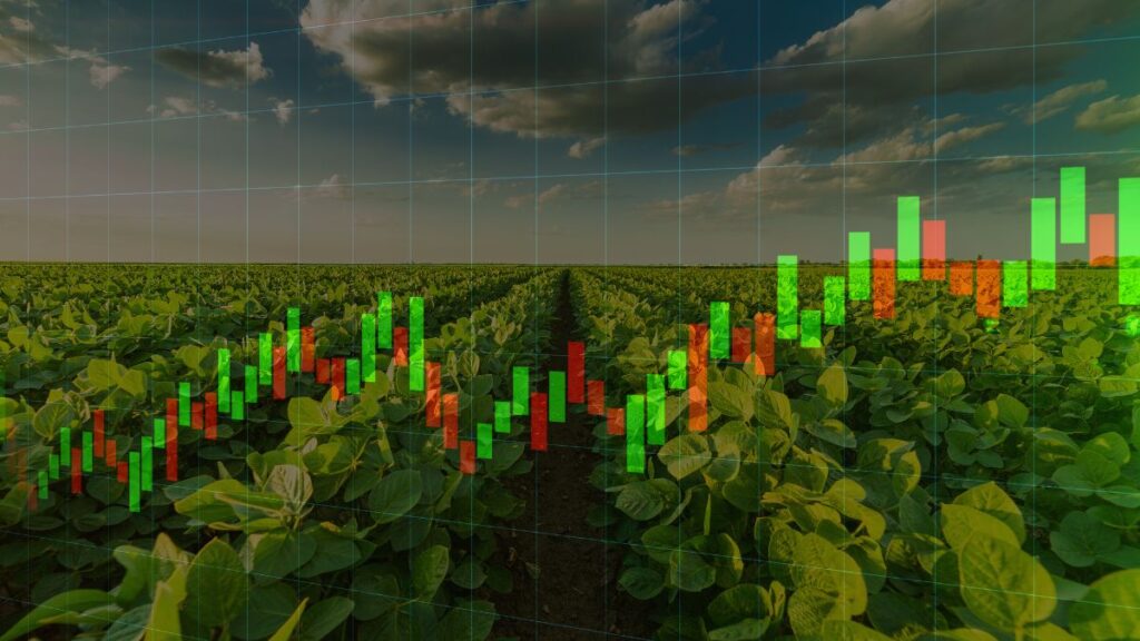 Riza Terrax vende fazenda e FII estima impacto de R$ 5,78