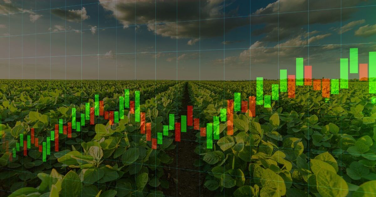 Riza Terrax vende fazenda e FII estima impacto de R$ 5,78