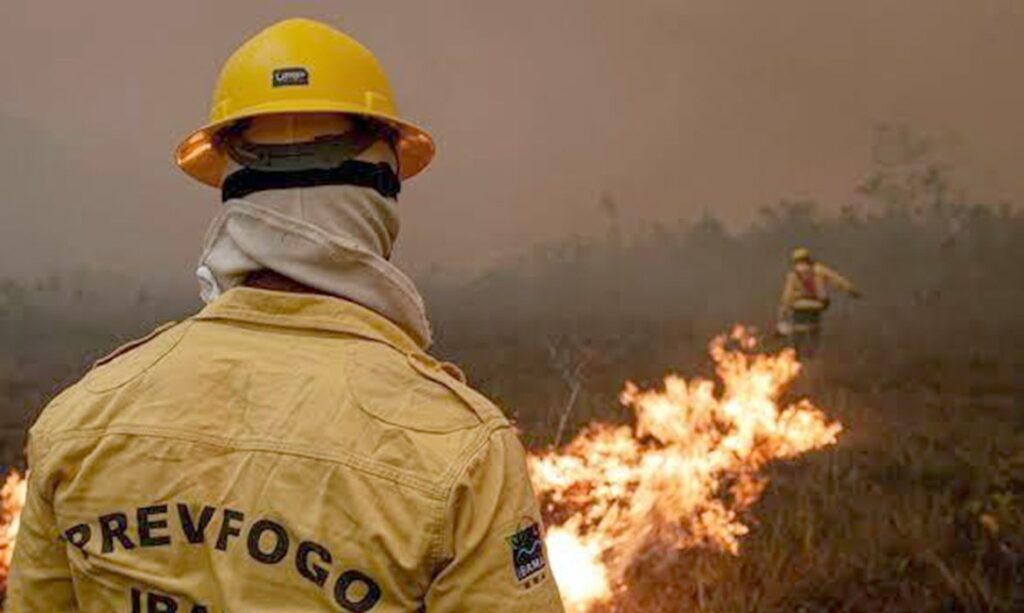 Governo envia ministros ao Amazonas por incêndios florestais