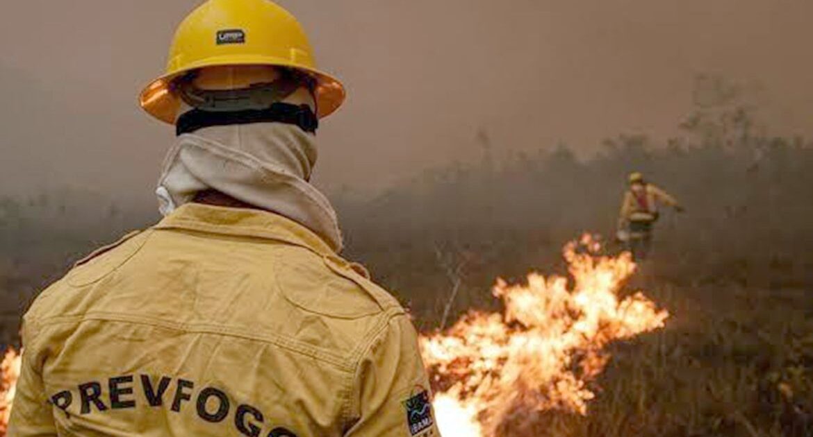 Governo envia ministros ao Amazonas por incêndios florestais