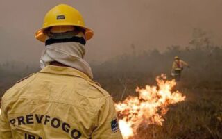 Governo envia ministros ao Amazonas por incêndios florestais