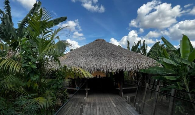 Edenred investe em bioeconomia na Amazônia