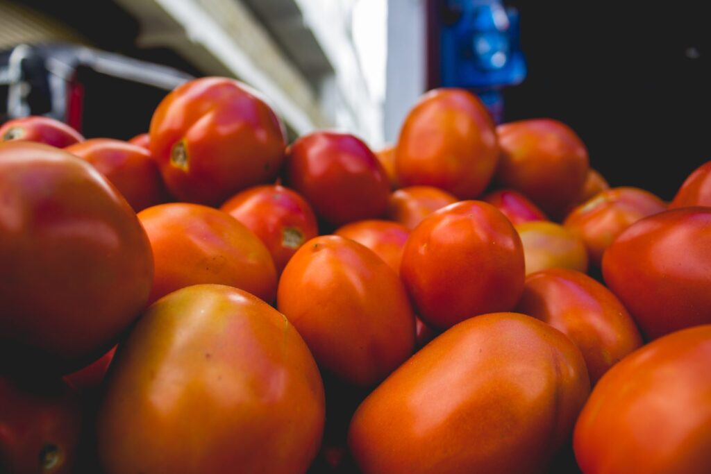 Preço do tomate sobe 38% em setembro e preocupa