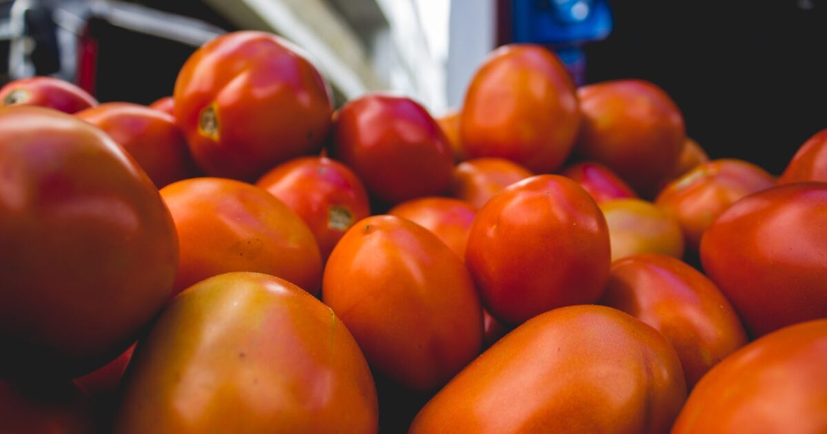 Preço do tomate sobe 38% em setembro e preocupa