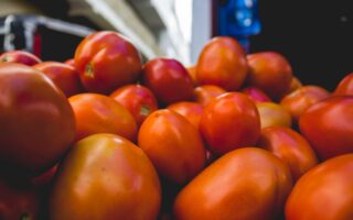 Preço do tomate sobe 38% em setembro e preocupa